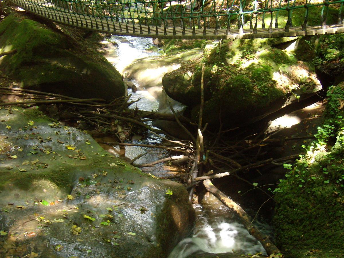 Hotel-Restaurant Neyses Am Park Kordel Dış mekan fotoğraf